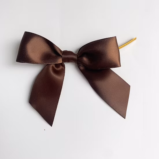Laço de fita elegante
